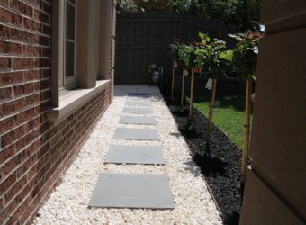 WhatsApp-Image-2017-12-09-at-11.49.52-AM1-1-340x250